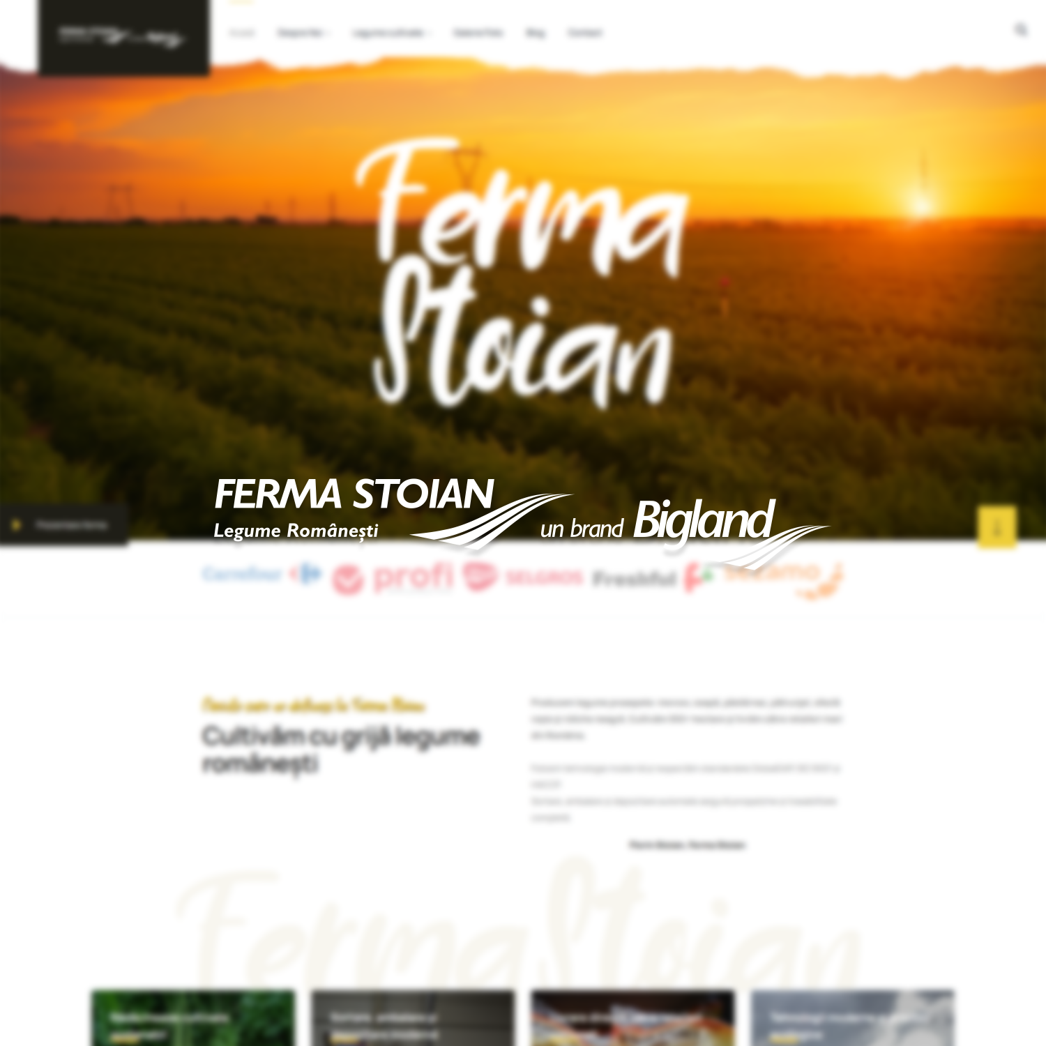 ferma stoian